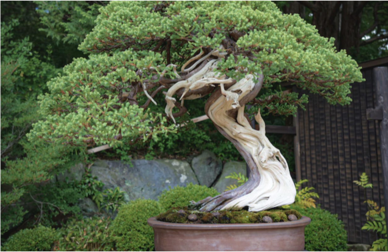 Constraints: Beautiful and otherwise